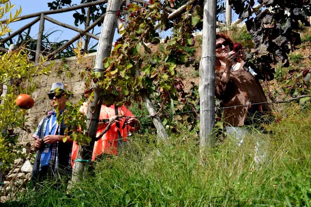 Le Vigne di Raito – Foto 3