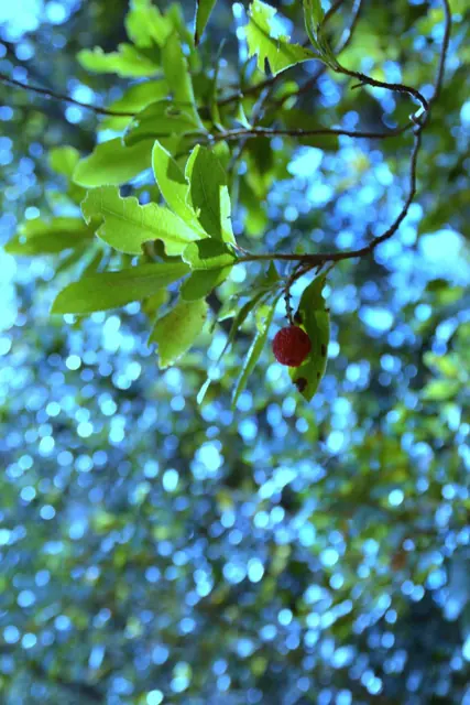 Le Vigne di Raito – Foto 8