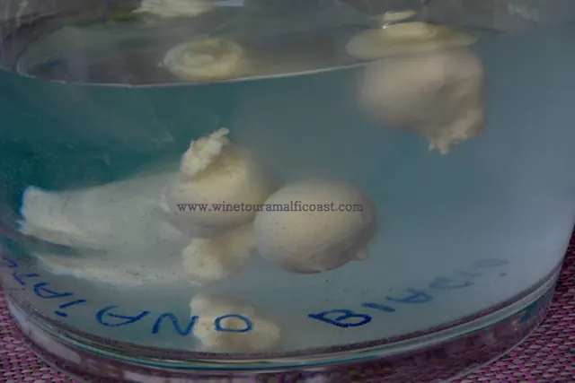 Ravello Mozzarella Class – Foto 4