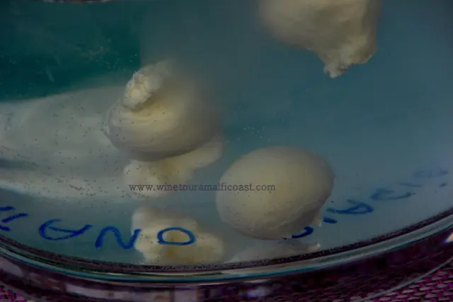 Ravello Mozzarella Class – Foto 5