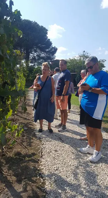 Pompeii & Wine Tour – Photo 4