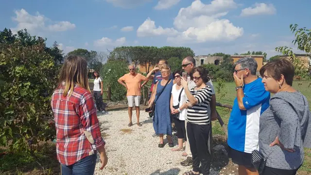 Pompeii & Wine Tour – Photo 6