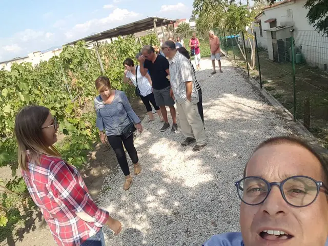 Pompeii & Wine Tour – Photo 7
