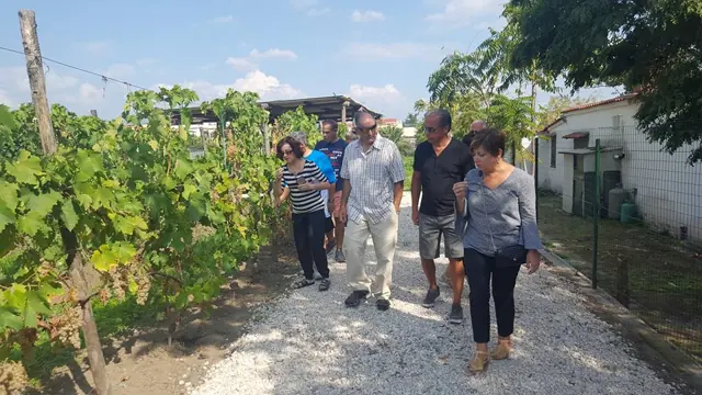 Pompeii & Wine Tour – Photo 8