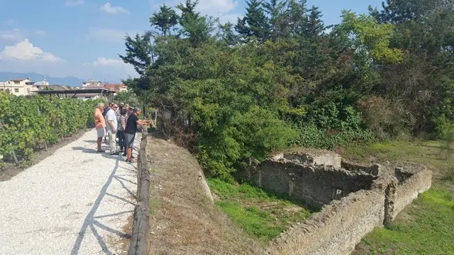 Pompeii & Wine Tour – Photo 10