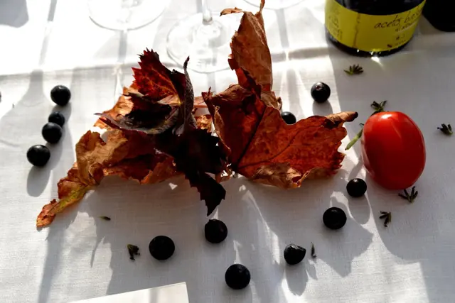 Reale – Photo 7