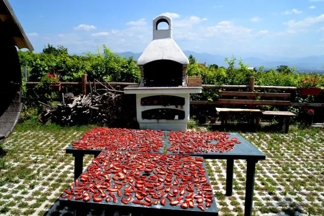 Wine Tour Sharing & Ravello – Photo 2